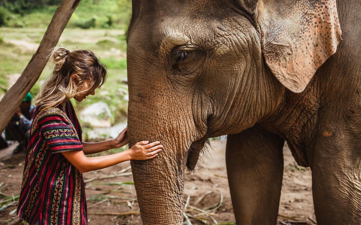 Muere una turista española al ser atacada por un elefante en Tailandia