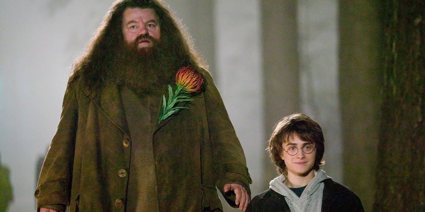 “¿Cómo diablos logras eso?”: Cómo las películas de Harry Potter valoradas en 7.700 millones de dólares cambiaron la representación de la altura de Hagrid, detallada por artistas de efectos visuales