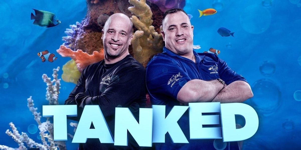 Lo que pasó con Animal Planet’s Tanked: Se explicaron los cargos de abuso doméstico de cancelación y las estrellas