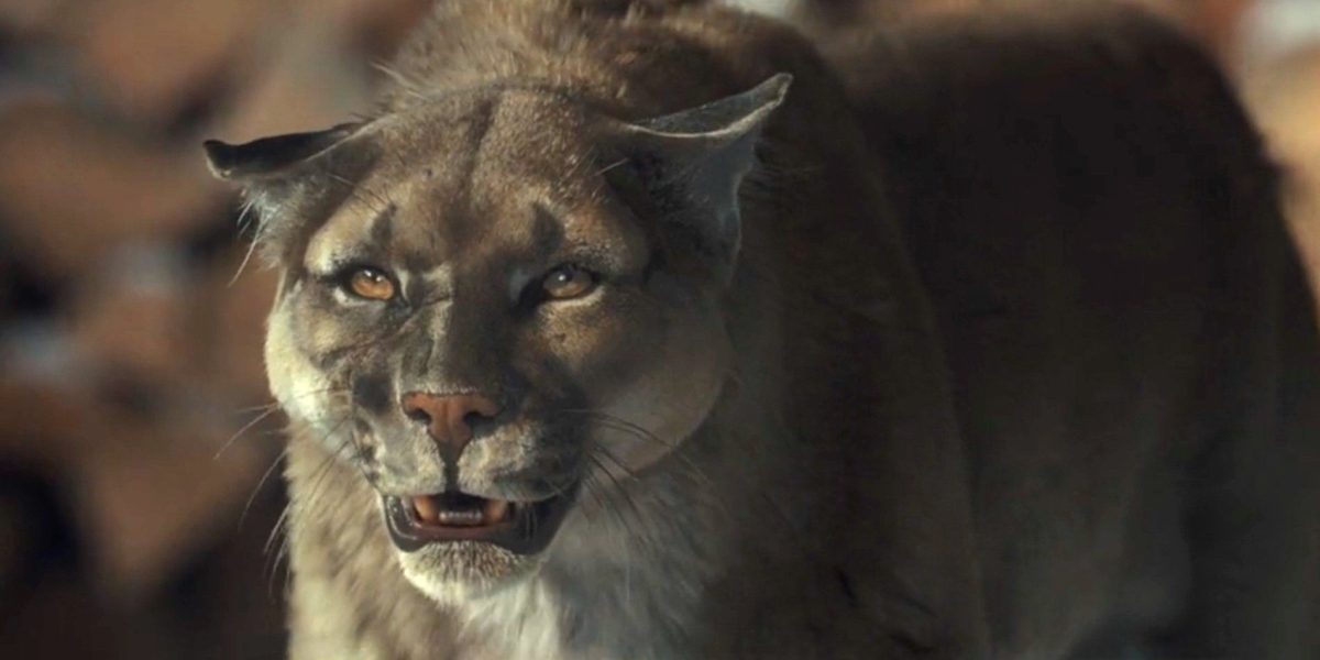 El verdadero significado del león de la montaña en 1923 Temporada 2 Episodio 1 explicó