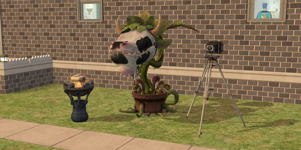 Los Sims 2: Cómo unirse a una sociedad secreta universitaria