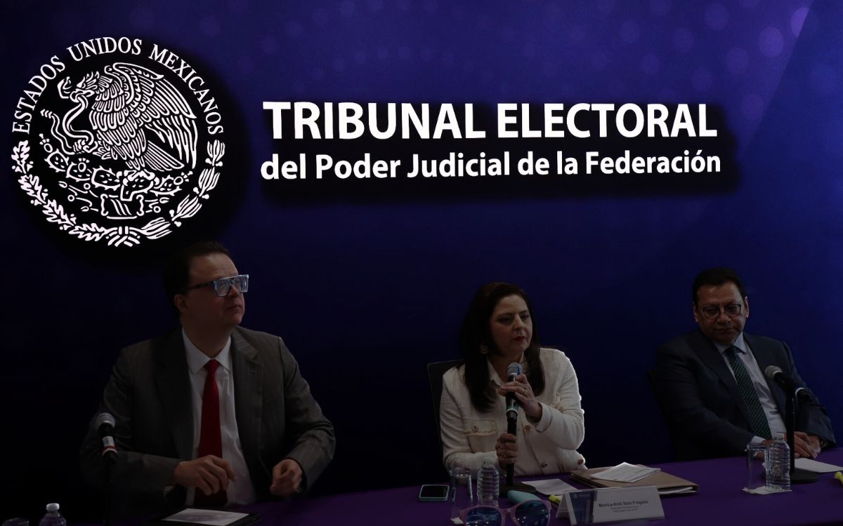 SCJN ordenó a jueces de amparo echar atrás recursos relacionados a la elección judicial: TEPJF