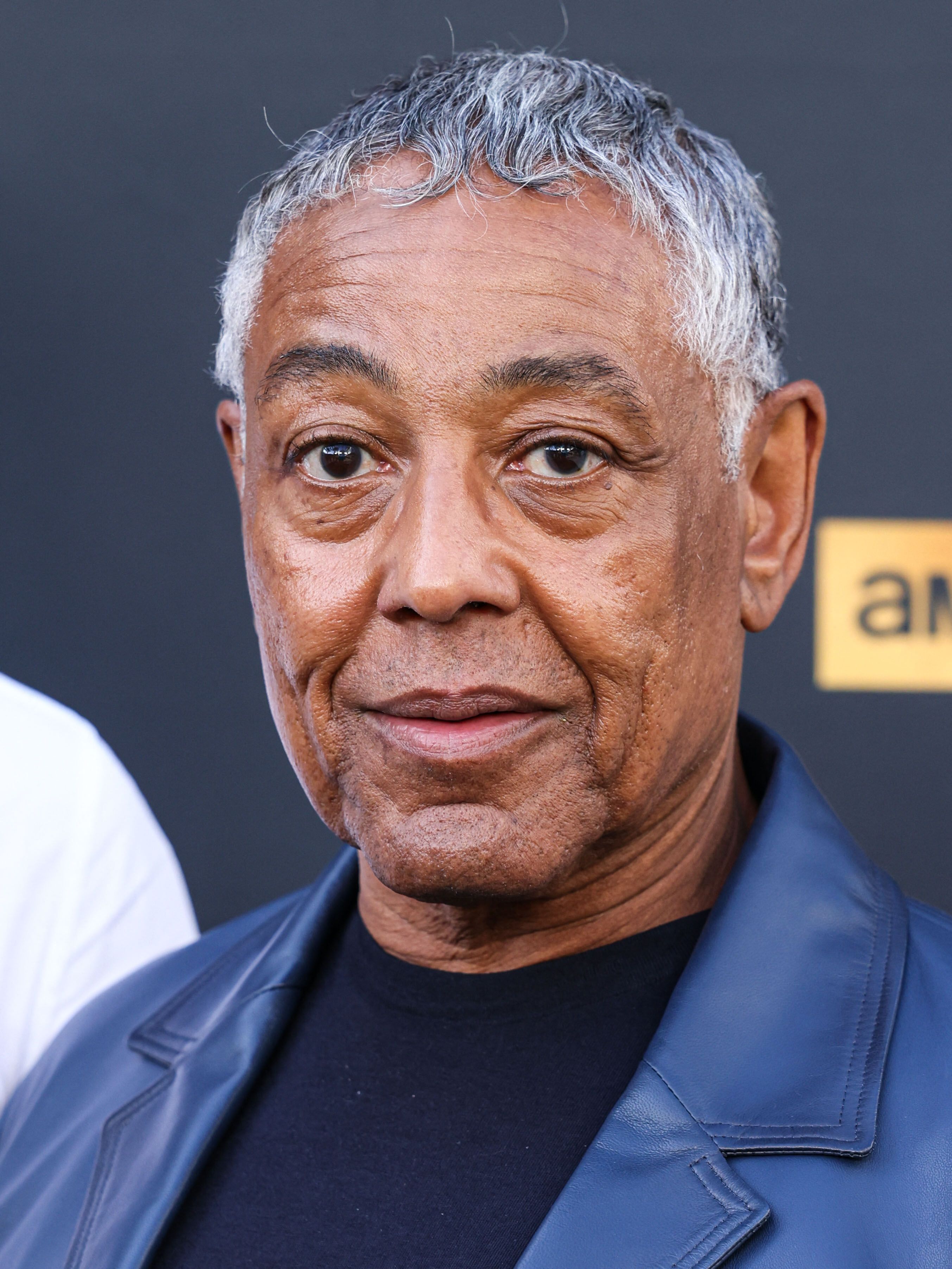 Foto de perfil de Giancarlo Esposito