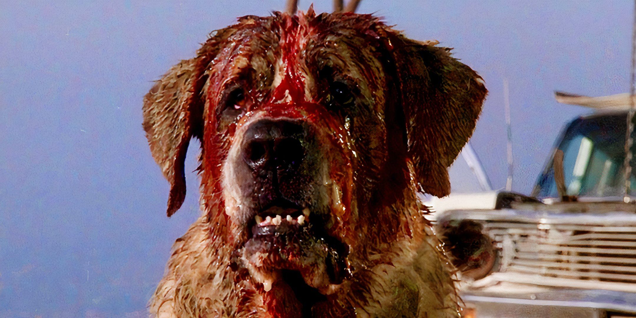 La próxima adaptación de Stephen King de Netflix, Cujo, busca director nominado al Oscar