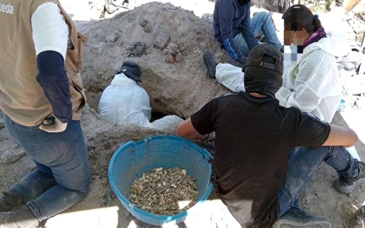 Sheinbaum sobre hallazgo de hornos clandestinos en Jalisco: 'Es terrible'