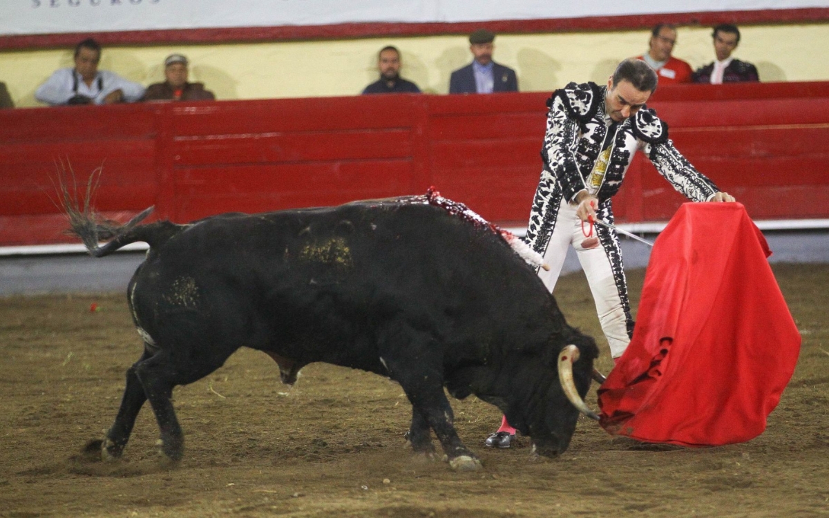 Clara Brugada impulsa iniciativa que prohíbe 'corridas de toros con sangre'