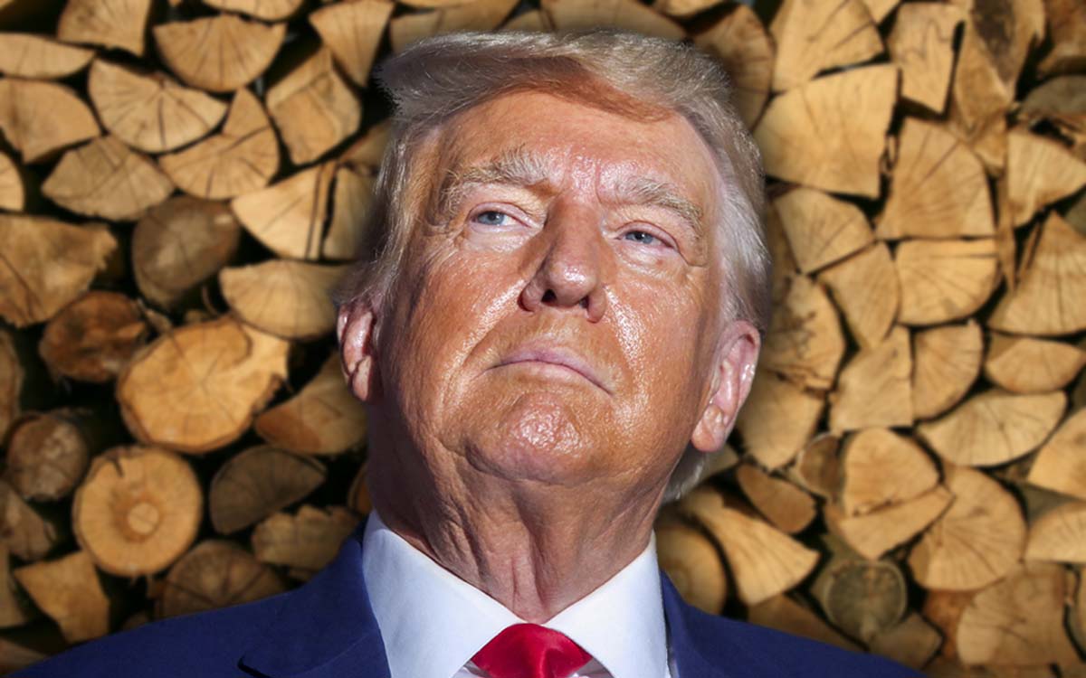 Trump ordena investigación arancelaria sobre importaciones de madera