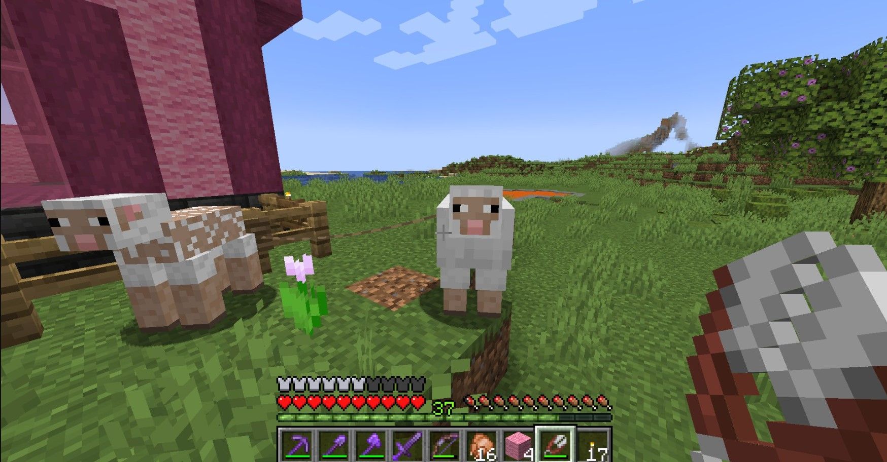Después de la actualización de Minecraft Spring to Life, esta multitud descuidada necesita desesperadamente algo de atención