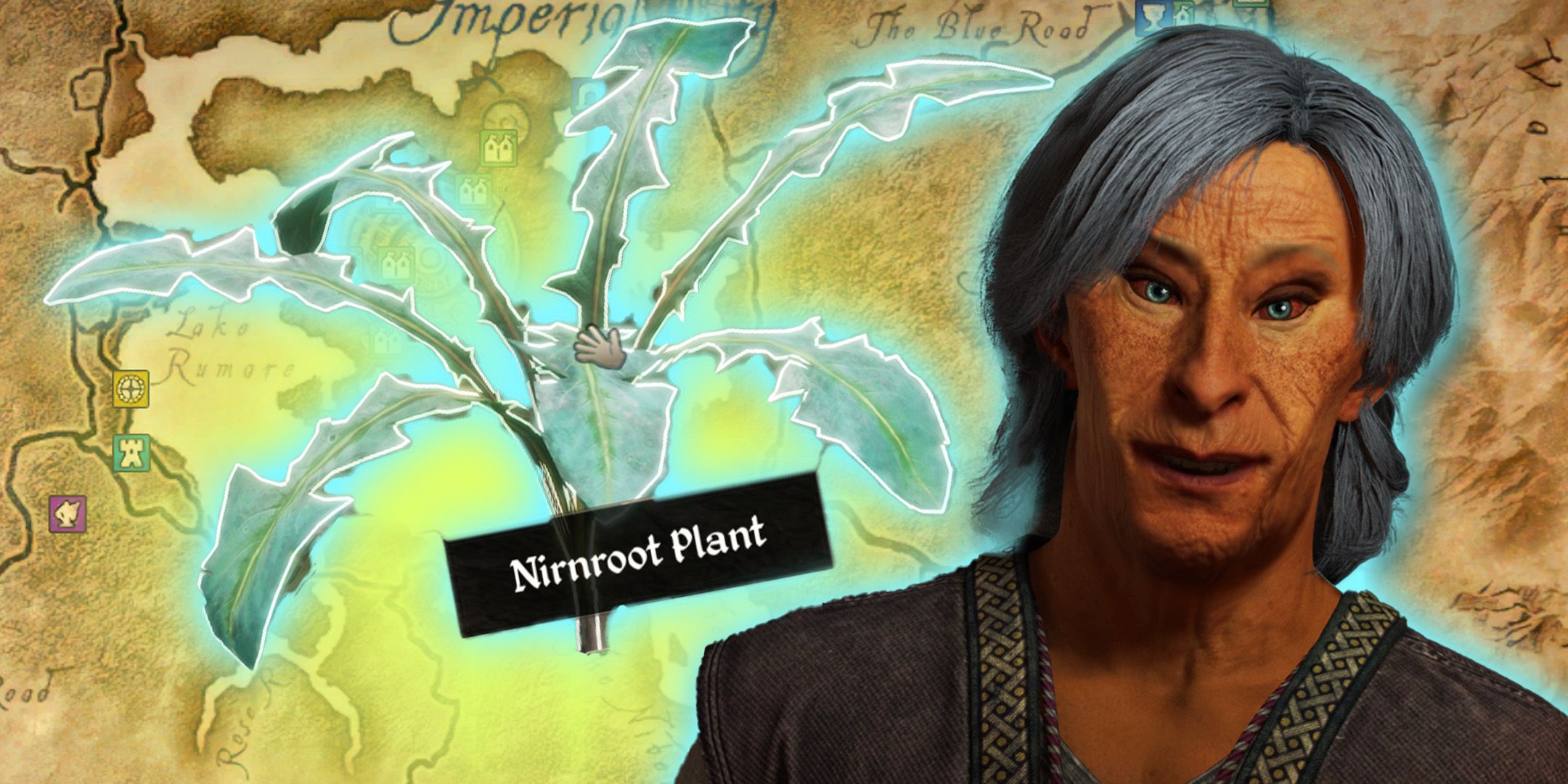 Oblivion remasterizado: dónde encontrar nirnroot para buscar sus raíces