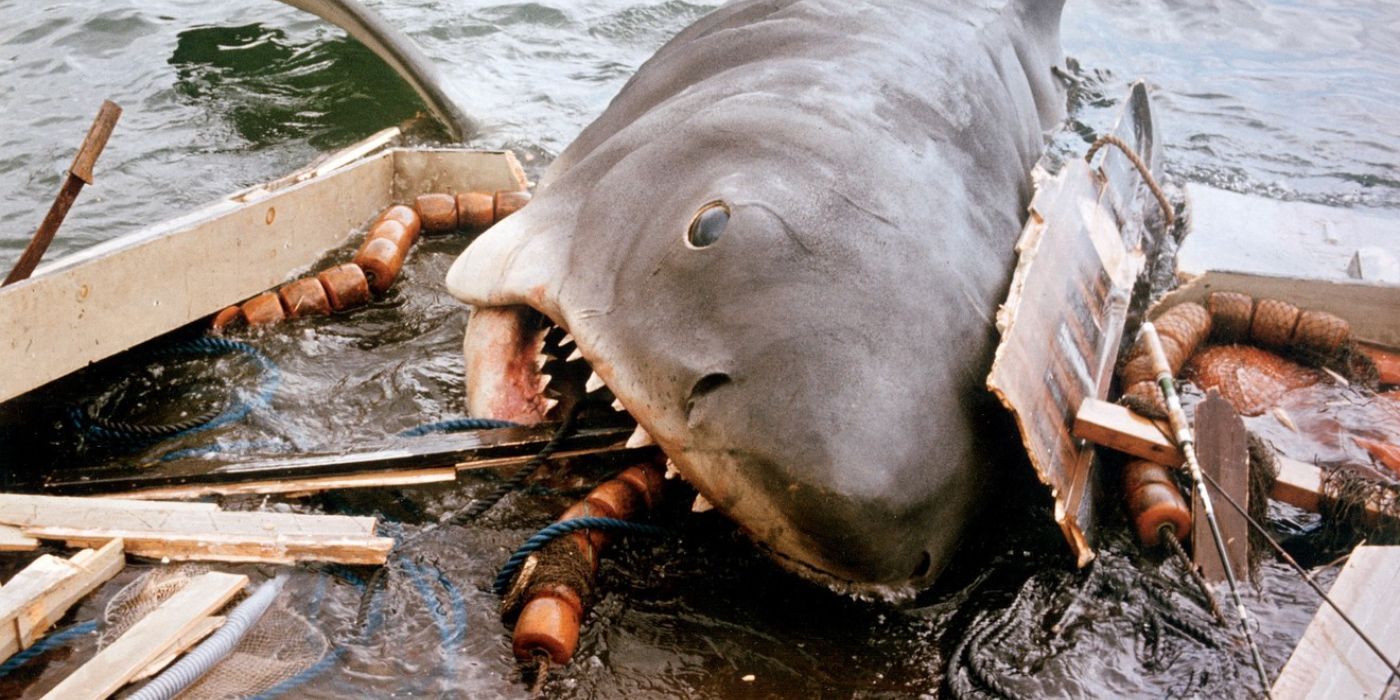 Un actor de Jaws no regresó al agua durante 2 años después de filmar la película