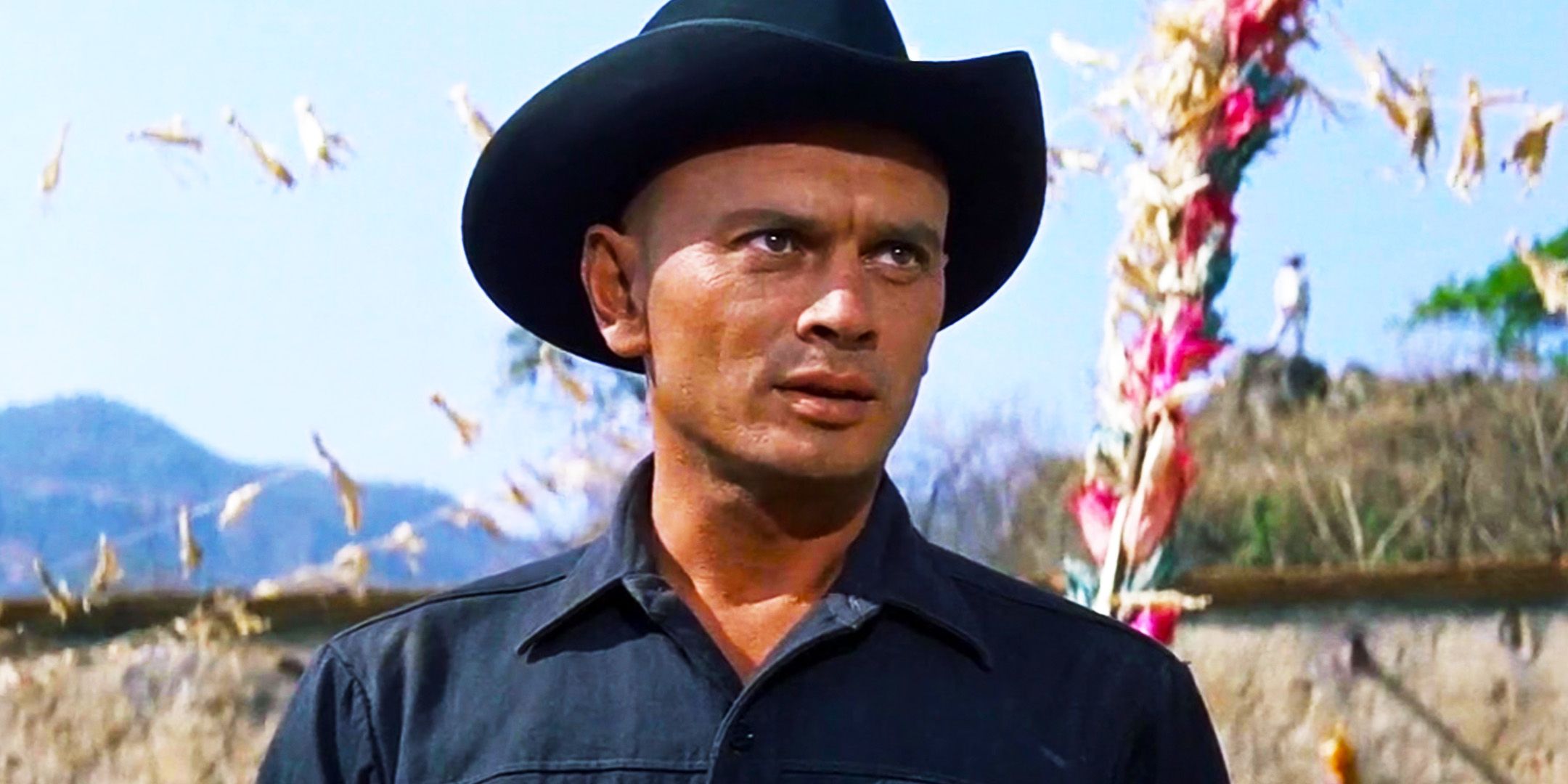 Las 5 magníficas siete películas clasificadas