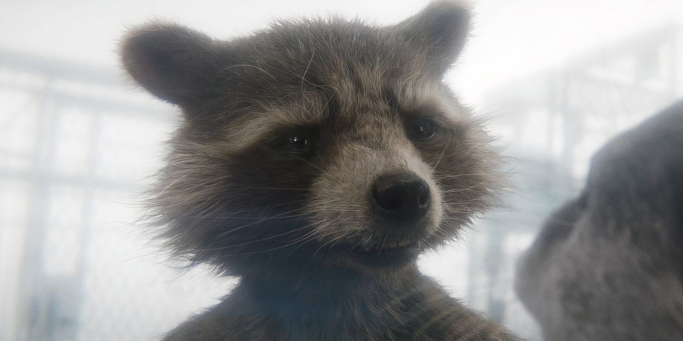No puedo superar cuánta línea más triste 1 en Guardians of the Galaxy Vol. 3 hace que Rocket’s MCU Skills & Story
