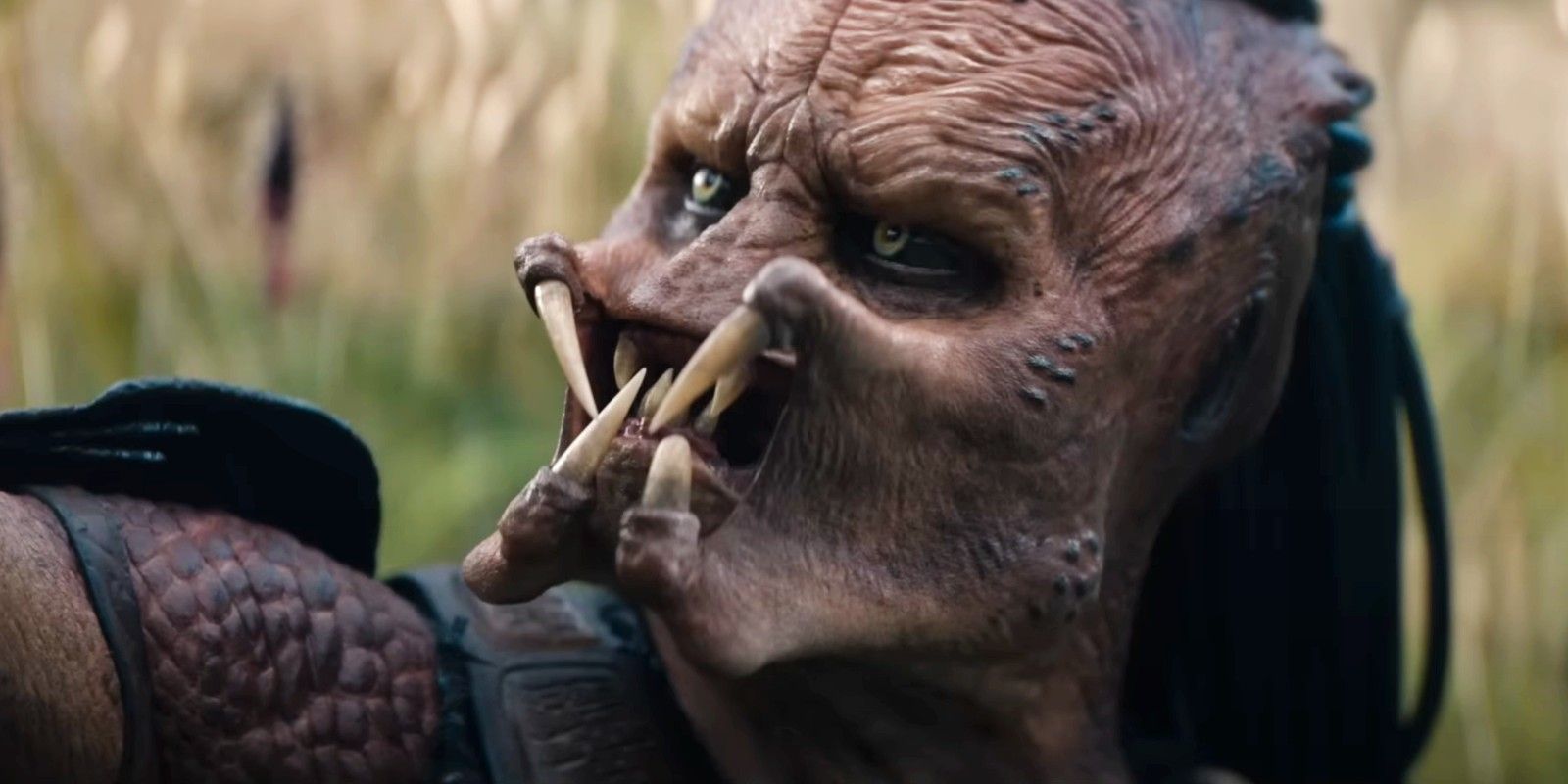 Nuevo Alien Vs Predator Películas y desafíos dirigidos por el director de franquicias