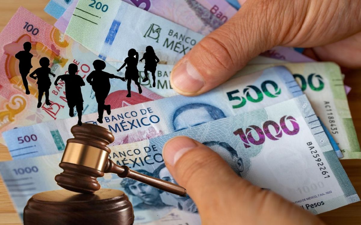 Pensión alimenticia puede pagarse con Afore en caso de desempleo: SCJN