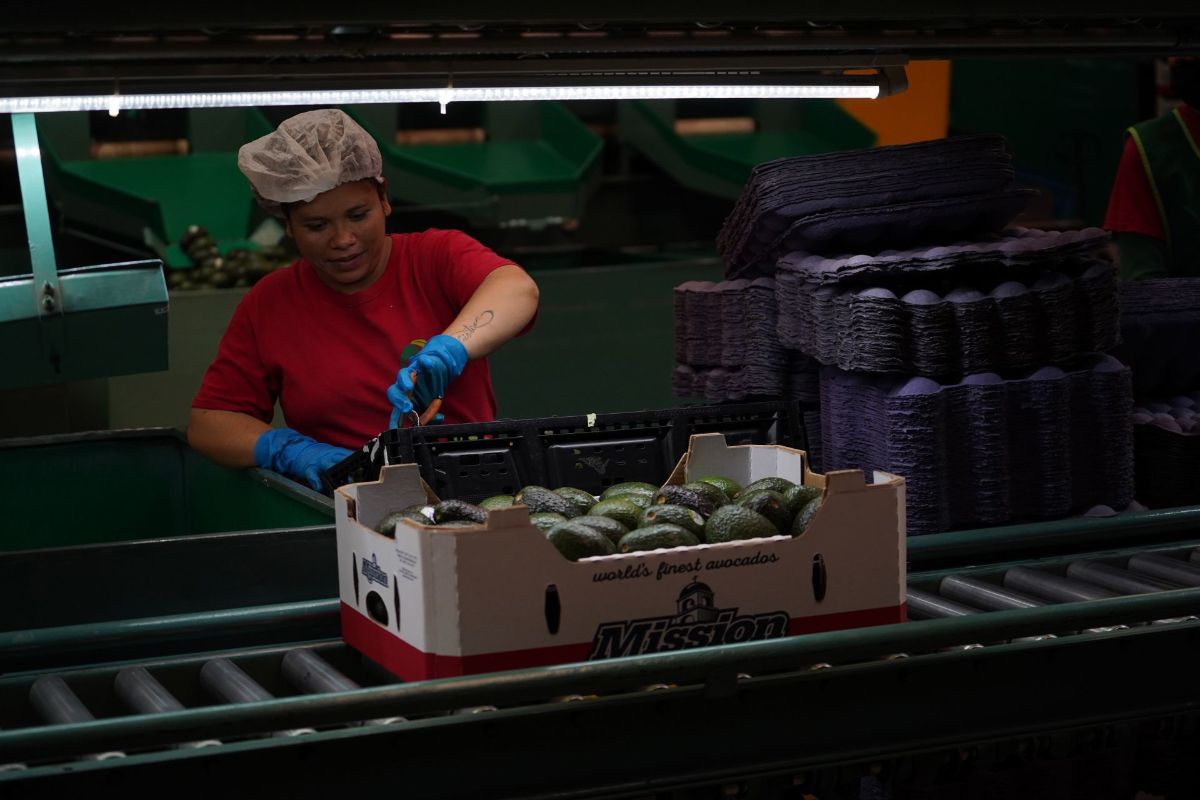 Más empleo y mejores salarios, la ruta para superar la pobreza: Coparmex